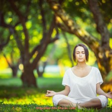 世俱杯直播-世俱杯赛事带动交通出行平台数据涨幅趋势及用户行为分析